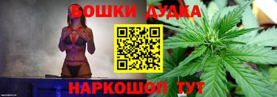 молекула духа Славгород