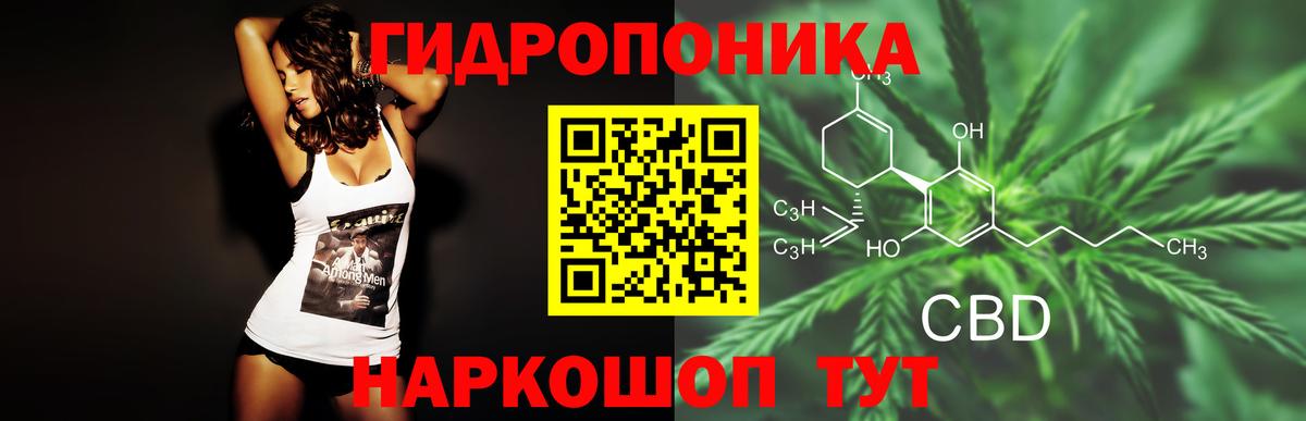 Сланцы  МАРИХУАНА SATIVA & INDICA  Бошки марихуана MAZAR  Вход с VPN  Конопля индика 